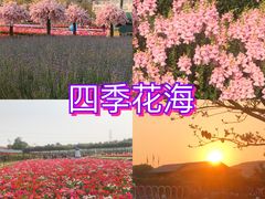 -盈香心动乐园