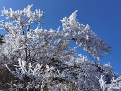 -萍乡武功山风景名胜区