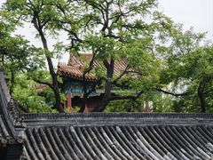 -北京国子监胡同
