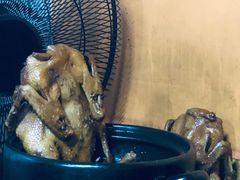 -百家春好德来姜母鸭