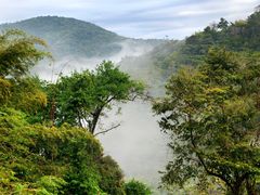 -野象谷景区