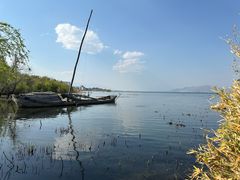 -洱海月湿地公园