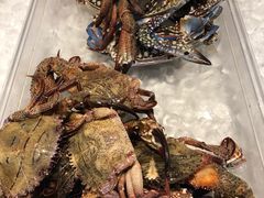 -Isla Sugbu Seafood City