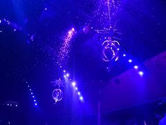 -珠海横琴长隆《卡卡虎奇遇记》