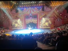 -珠海横琴长隆《卡卡虎奇遇记》