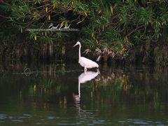 -春花秋色城市公园