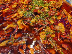 来凤鱼-新概念来凤鱼(璧山店)