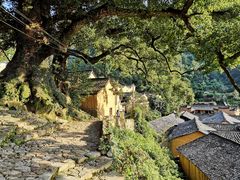 -杨家堂村