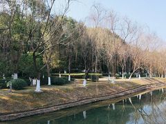 -桐乡植物园