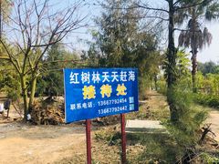 -红树林天天赶海