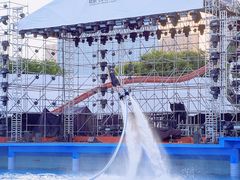 -巨鹏飞梦幻海岸