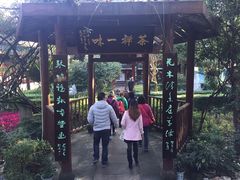 -峨眉山报国寺