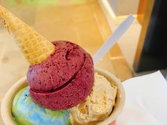 -极拉图·现制冰淇淋(大卫城店)