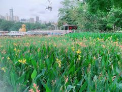 -荔枝公园(福田区)