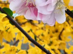-海棠花溪(元大都城垣遗址公园)