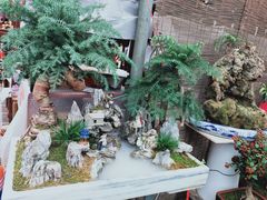 -秦美花卉(天朗·莱茵小城2期店)