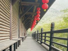 -大唐贡茶院