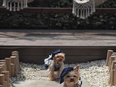 -时间逆·烘焙
