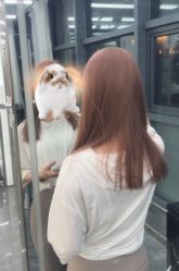 -烫·染专业店