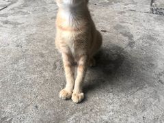 -馨园villa融合菜(东山店)