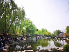 -西安青龙寺遗址景区