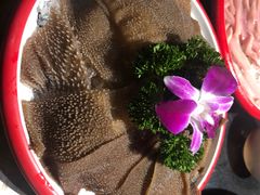-大龙燚火锅(春熙店)