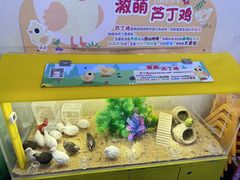 -宝贝王(惠州大亚湾店)