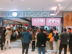 -龍歌自助小火锅(李沧丽达店)