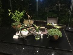 漫渡庄·绿岛花园餐厅-漫渡庄绿岛花园•隐世庭园菜(滨湖店)