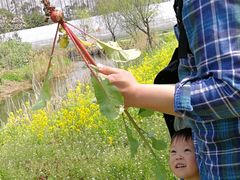 -前小桔亲子创意农场·草莓采摘·露营烧烤