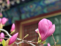 -潭柘寺景区