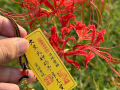 -西安大兴善寺