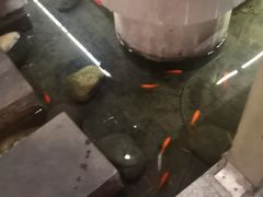 -蓉城老妈火锅(双林路店)