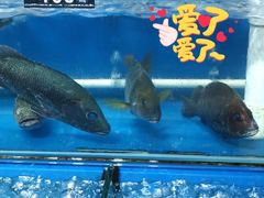 -八道本地特色菜馆(大鹏古城店)