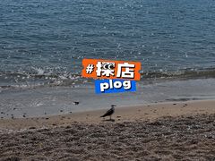 -棒棰岛宾馆景区