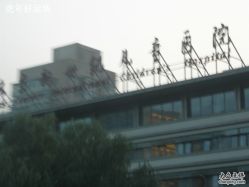 -北京新世纪儿童医院