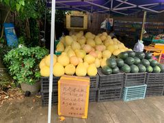 -瑞丽独树成林风景区