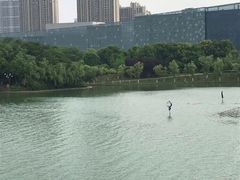 -天鹅湖体育公园