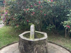 -蔡家宅