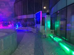 -世界之窗阿尔卑斯冰雪世界