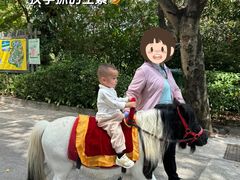 -深圳野生动物园