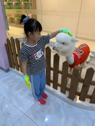 -Moni星球萌宠·小马宝莉·灵蛇·高端高阶全萌宠互动体验俱乐部(红豆国际广场店)