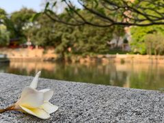 -星海公园(番禺区)