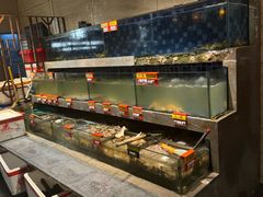 -抱德·潮汕味(敦和店原惠城鱼仔)