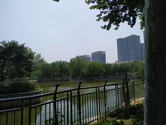 -黄村公园