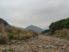 -罗坑大草原