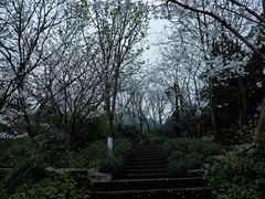 -中国茶叶博物馆(双峰馆区)