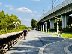 -宝安西湾红树林湿地公园