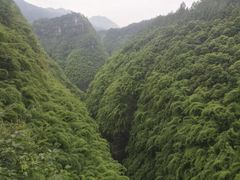 -阿依河景区