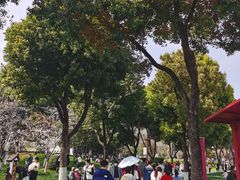 -堤角公园
